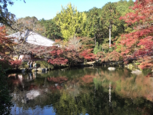 醍醐寺の池と紅葉