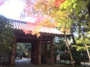 醍醐寺の紅葉