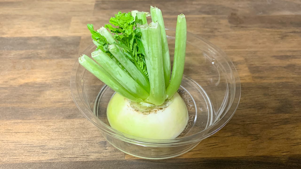 リボベジ 野菜の切れ端を再生させる 大根編 ハニコログ