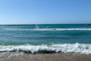 海岸から見た日本海